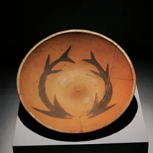 Ancient civilizations Collection: Inca Empire