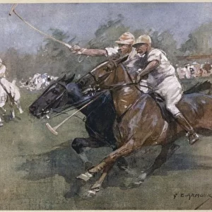 During a Polo Match