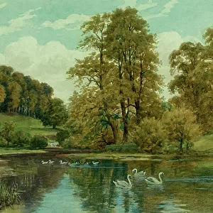 Mill Pond, Loose Valley, near Maidstone, Kent