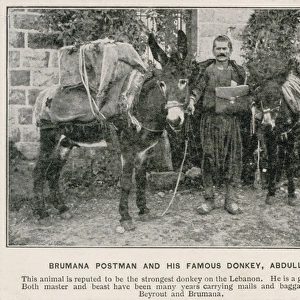 Postman from Brummana with his donkey Abdullah