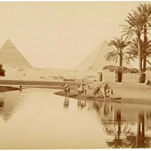 Pyramids of Gizeh, Egypt