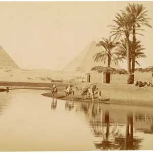 Pyramids of Gizeh, Egypt