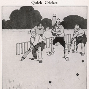 Quick Cricket
