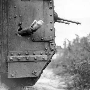 WW1 Tank Scene Print: Carrier Pigeon Release WW1 Tank Scene Print: Carrier Pigeon Release