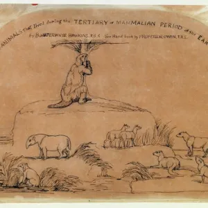 Tertiary Period Animal Restorations Print Tertiary Period Animal Restorations Print