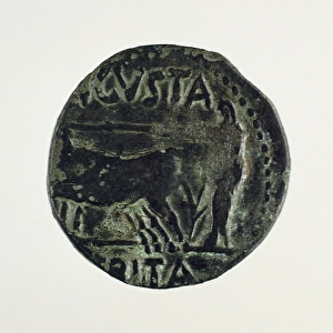 Roman coin. As. Reverse. 1st century BC. Decoration: Merida