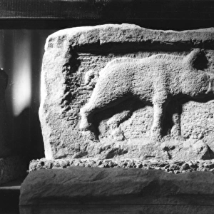Roman Pig Carving