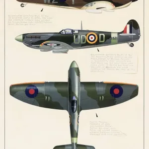 Supermarine Spitfire and Hawker Tempest Print, 1940s Supermarine Spitfire and Hawker Tempest Print, 1940s