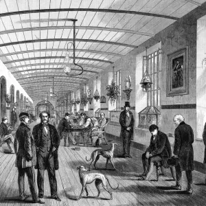 Museums Collection: Bethlem of the Mind