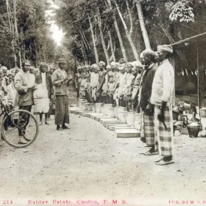 Rubber Plantation - Malaysia - Overseer and Coolies