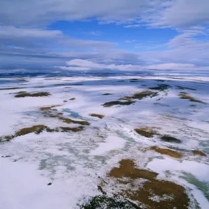 RUSSIA - Arctic tundra, melting snows, tundra of