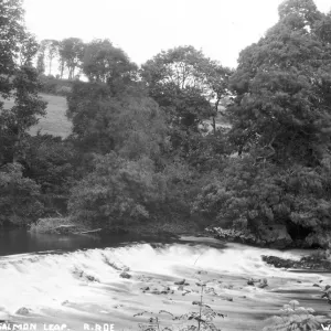 Salmon Leap Print, Northern Ireland circa early 1900s