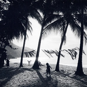 Scene on a beach, Tobago, West Indies
