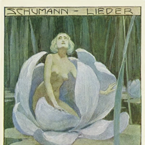 Schumann-Lieder. Lotusbaume
