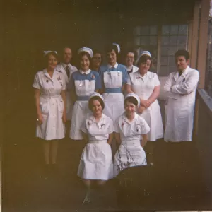 Semi-formal group of nurses and possibly doctors