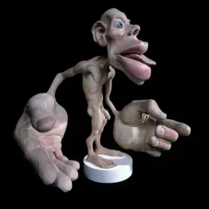 Sensory homunculus