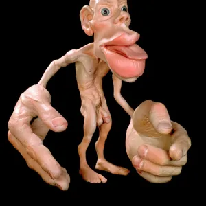 Sensory homunculus