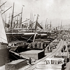 Shipping wharves, probably Port Said, Egypt, circa 1890