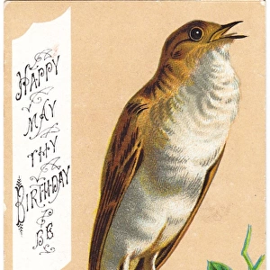 Singing bird on a birthday card