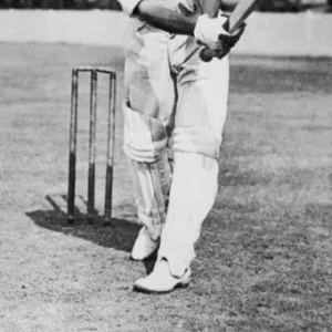 Cricket Gallery: Related Images