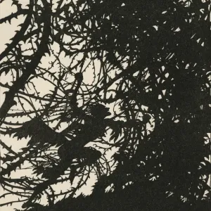 Arthur Rackham's Sleeping Beauty Print: Thorns of the Castle Arthur Rackham's Sleeping Beauty Print: Thorns of the Castle