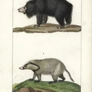 Handcolored Copperplate Stipple Engraving Print, 1816 Handcolored Copperplate Stipple Engraving Print, 1816