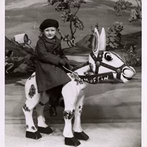 Small boy - Studio photograph - riding Muffin the Mule Model