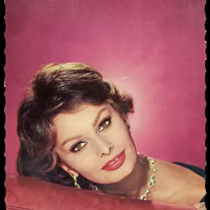 Actors and Actresses Collection: Sophia Loren