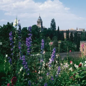 Spain. Granada. The Alhambra