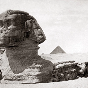 Sphinx Egypt, circa 1800s