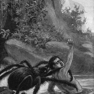 Spider Eats Man 1890S
