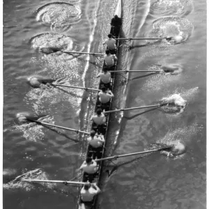 Rowing Eight Oar Print: A Study of a Rowing Team Rowing Eight Oar Print: A Study of a Rowing Team