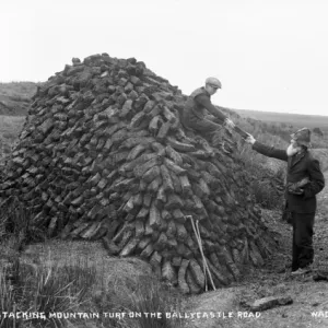 Early 1900s Northern Ireland Print - Man and Boy Stacking Turf