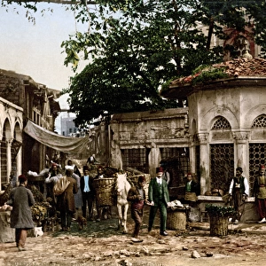 Street scene in Constantinople (Istanbul) Turkey, circa 1890