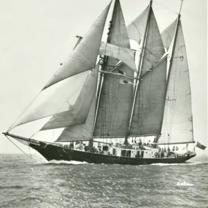 STS Malcolm Miller under full sail