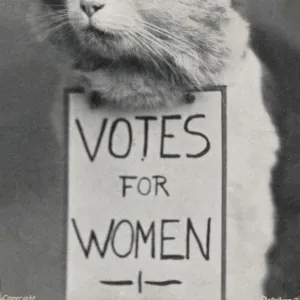 Suffragette Cat in Straw Hat Votes for Women