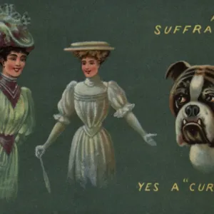 Suffragettes and Dog Cur Hardy