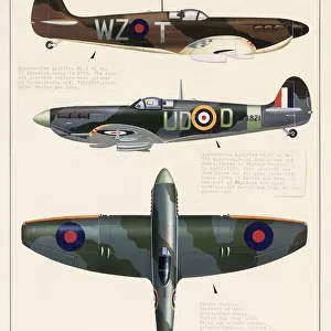Popular Themes Collection: Spitfire