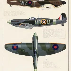 Supermarine Spitfire and Hawker Tempest aeroplanes