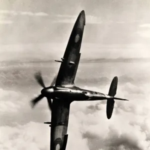 Battle of Britain Collection: Spitfire aircrafts