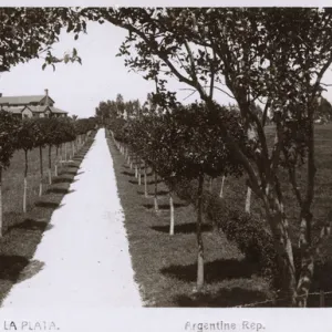 Swift Golf Club, La Plata, Argentina, South America