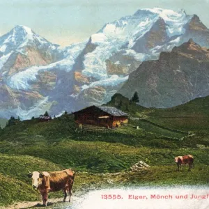 Swiss Scenery - Eiger, Monch and Jungfrau