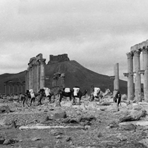 Temple Ruins, Palmyra