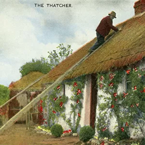 The Thatcher, Ireland - Irish Country Life Series postcard