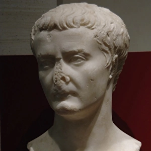 Tiberius (Tiberius Julius Caesar) Roman Emperor