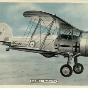 Gladiador Gloster Gladiador Gloster