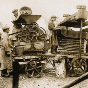 Transportable Ciderpress