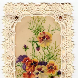 Variegated pansies on a lacy-edged greetings card