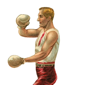 Victorian scrap - boxer guarding