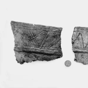 A view of fragment of burial urns, Ballyrainey, Comber